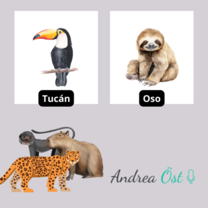 LIBRO colorea los animales salvajes de Colombia