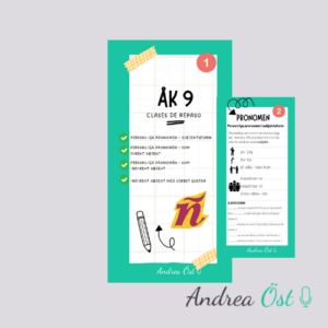 TRÍPTICO ÅK 9 PRONOMBRES